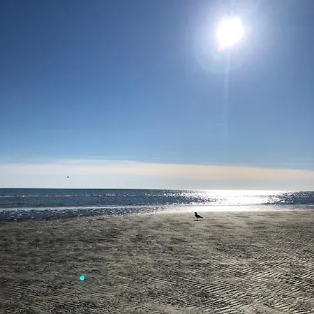Vista Mare Lejlighed *